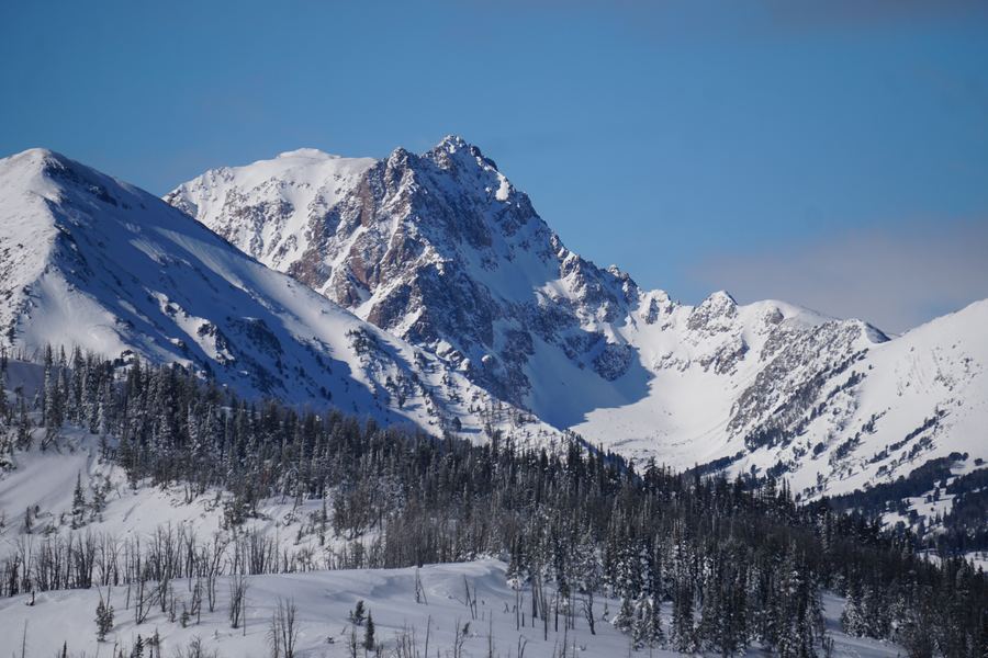 A jagged winter peak above a snowy forest under blue sky